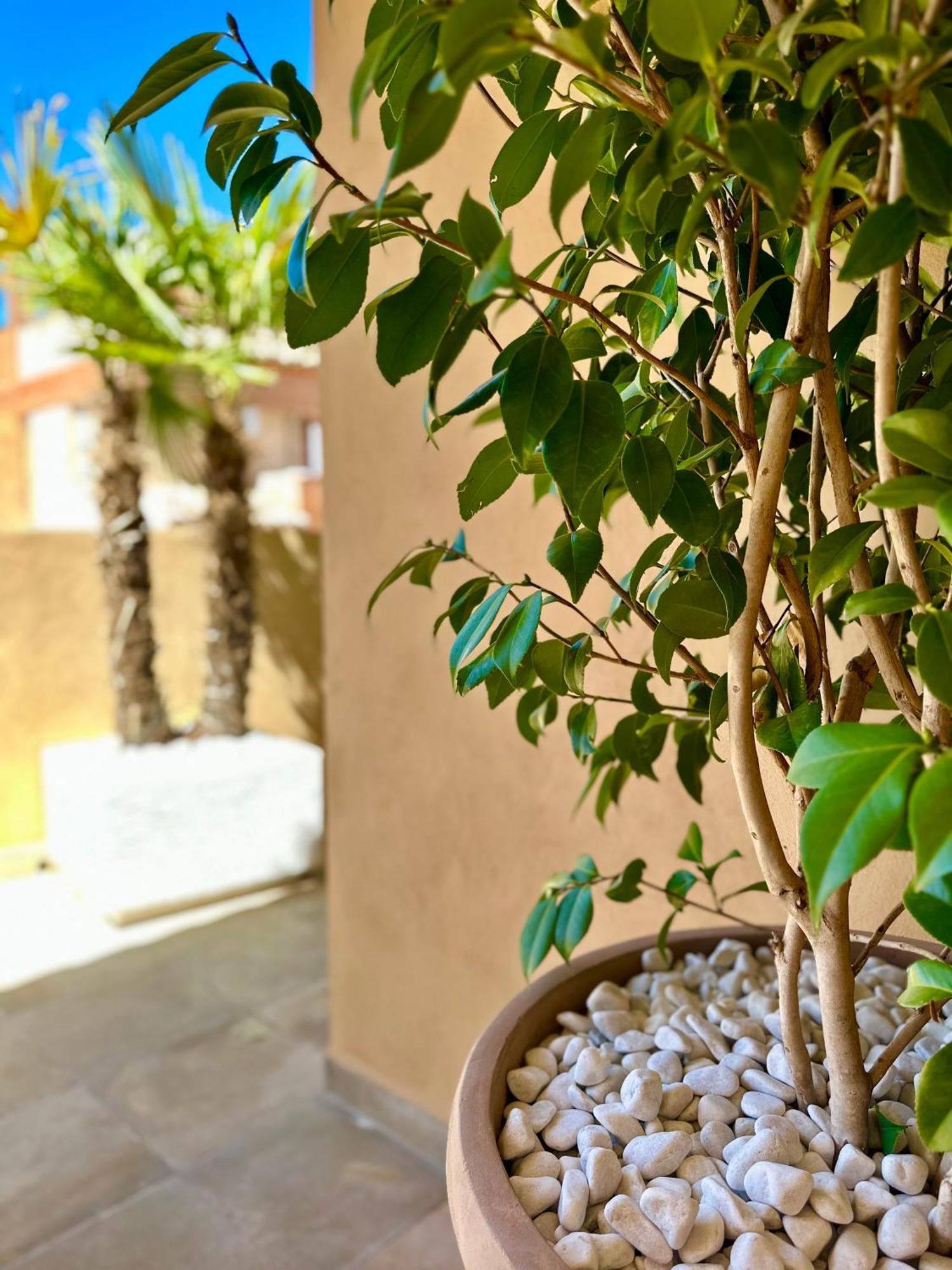 Ferienwohnung Libelle Granada Exterior foto